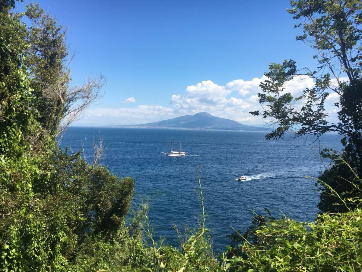 Terrazza Felicienne Lägenhet Sorrento Exteriör bild