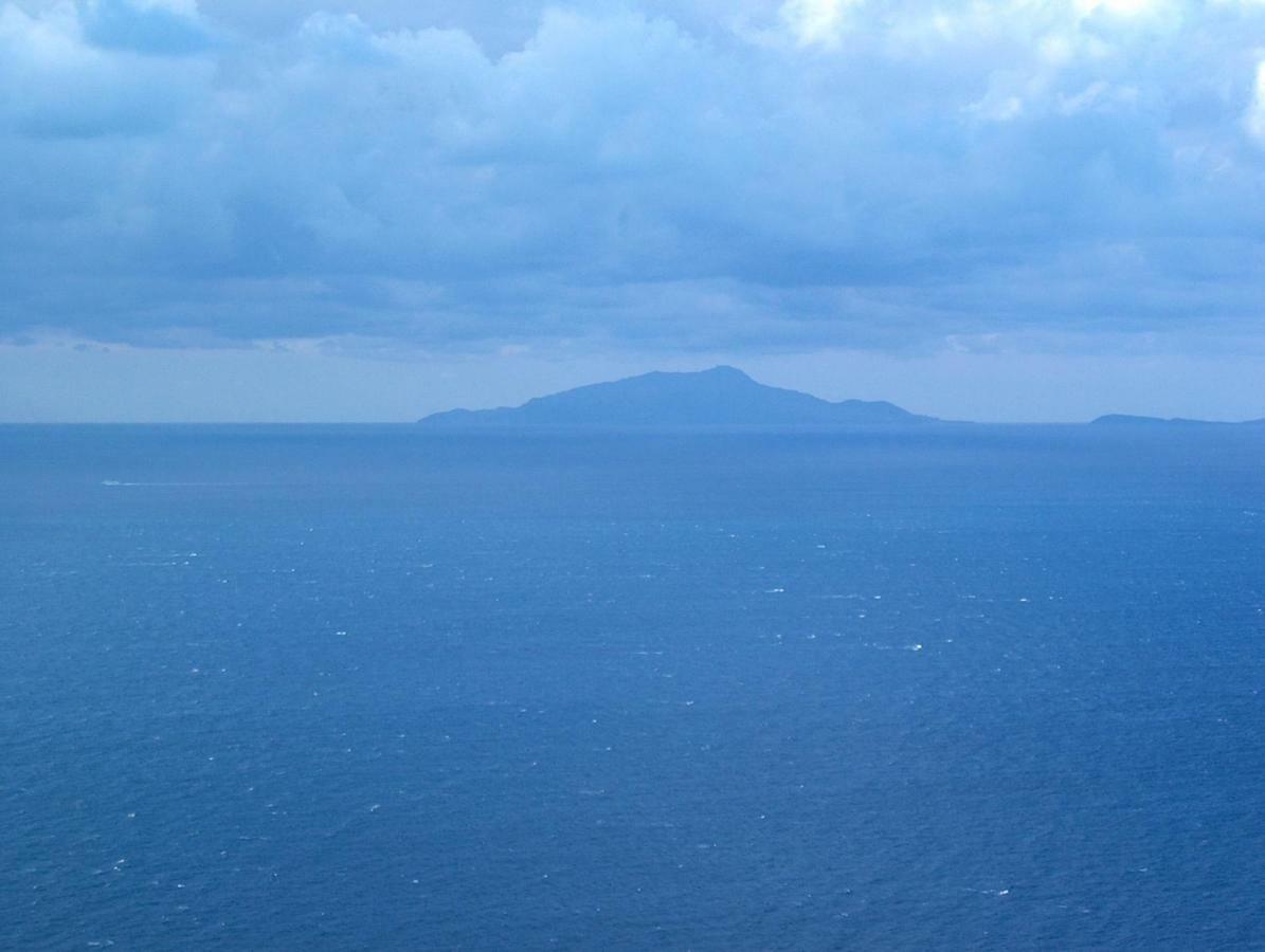 Terrazza Felicienne Lägenhet Sorrento Exteriör bild